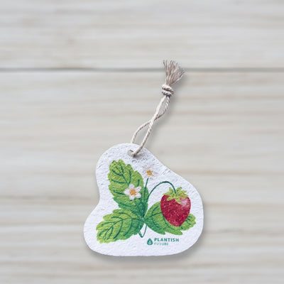 Strawberry Patch - Pop Up Sponge-0