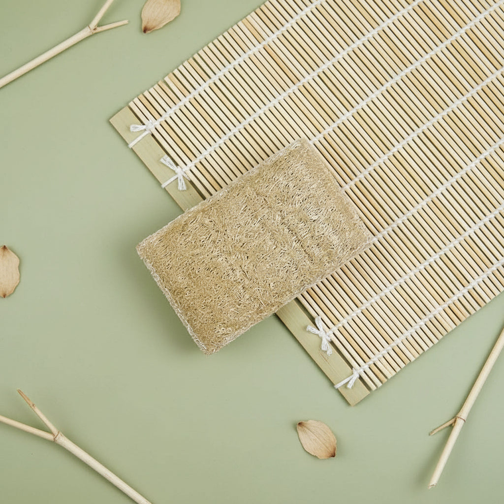 Eco Sponge-0